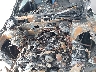 4S4BSANC8F3****** Repairable 2015 Subaru Outback in Orlando North