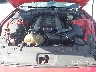 1FA6P8CF3F5****** Repairable 2015 Ford Mustang in Clearwater