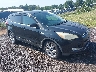 1FMCU0HXXDU****** Salvamento y Destrozados 2013 Ford Escape en Greenville