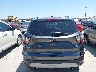 1FMCU0JD2HU****** Destrozados 2017 Ford Escape