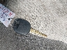 4T1BF1FK3EU****** Salvage 2014 Toyota Camry in North Carolina State