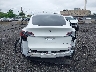 7SAYGDEE1PF****** Salvage 2023 Tesla Model Y