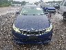 5XXGT4L36KG****** Salvamento 2019 Kia Optima en Estado de Nueva York