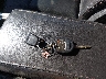 2FMDK4JC2DB****** Salvamento 2013 Ford Edge en Estado de Ohio