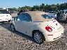 3VWRG31Y88M****** Salvage and Repairable 2008 Volkswagen Beetle in Tampa North