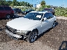 WBA3B5G57EN****** Usados y Reparables 2014 BMW 3 Series en Orlando