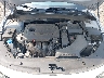 5XXGT4L32LG****** Reparables 2020 Kia Optima en Avenel New Jersey