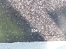 JTM7ERAV7TD****** Destrozados 2026 Toyota RAV4 Prime