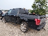 1FTEW1EG9GF****** Salvage and Repairable 2016 Ford F-150 in Philadelphia