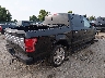 1FTEW1EG9GF****** Salvage and Wrecked 2016 Ford F-150 in Pennsylvania State
