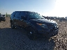 1FM5K8AR0DG****** Salvage and Wrecked 2013 Ford Utility Police Interceptor in McAllen