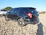 1FM5K8AR0DG****** Salvage and Repairable 2013 Ford Utility Police Interceptor in McAllen