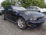 1ZVBP8EN0A5****** Wrecked 2010 Ford Mustang in New Jersey State