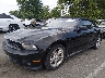 1ZVBP8EN0A5****** Salvage and Repairable 2010 Ford Mustang in New Jersey State