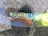 1N4BL4BV4LC****** Repairable 2020 Nissan Altima