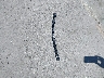 WBAVA33597P****** Wrecked 2007 BMW 3 Series in California State
