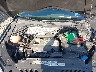 WVGAV7AX0CW****** Repairable 2012 Volkswagen Tiguan in Long Island