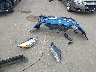 1FADP3K25JL****** Destrozados 2018 Ford Focus en Estado de Ohio