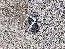 5XYPG4A36HG****** Wrecked 2017 Kia Sorento in Ohio State
