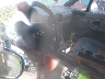 WBACH9341YL****** Salvamento 2000 BMW Z3 en Boise