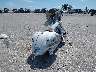 1HFSC52025A****** Salvage and Wrecked 2005 Honda Vtx1300 in Iowa State