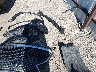 2T2HZMAA1NC****** Repairable 2022 Lexus RX