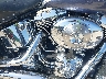1HD1BWB173Y****** Wrecked 2003 Harley-Davidson FLSTCI in Fort Myers