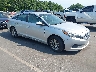 5NPE24AF1HH****** Salvage and Wrecked 2017 Hyundai Sonata in Raleigh