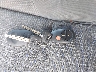 5TETX22N77Z****** Salvage 2007 Toyota Tacoma in Florida State