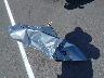 3MZBPBCM6SM****** Wrecked 2025 Mazda 3 in California State