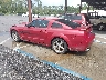 1ZVHT82H995****** Salvamento y Reparables 2009 Ford Mustang en Jacksonville