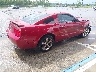 1ZVHT82H995****** Salvamento y Destrozados 2009 Ford Mustang en Estado de Florida