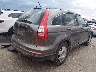 5J6RE4H37AL****** Salvage and Wrecked 2010 Honda CR-V in Colorado State
