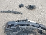 2C3CDXBG1DH****** Wrecked 2013 Dodge Charger in Ohio State
