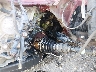 1N4AA6AP2HC****** Repairable 2017 Nissan Maxima