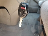 5FNRL38256B****** Salvamento 2006 Honda Odyssey en Estado de Texas