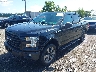 1FTEW1EP4GF****** Usados y Reparables 2016 Ford F-150 en Northern Virginia