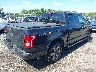 1FTEW1EP4GF****** Salvamento y Destrozados 2016 Ford F-150 en Estado de Virginia