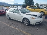 19UUA66265A****** Salvage and Wrecked 2005 Acura TL in Salt Lake City
