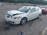 19UUA66265A****** Used and Repairable 2005 Acura TL in Salt Lake City