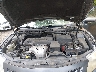 4T1BE46K39U****** Repairable 2009 Toyota Camry in Suffolk