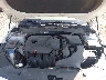 5XXGU4L39GG****** Reparables 2016 Kia Optima en Long Island