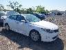 5XXGU4L39GG****** Salvamento y Destrozados 2016 Kia Optima en Long Island
