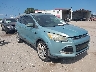 1FMCU0J93DU****** Salvamento y Destrozados 2013 Ford Escape en Tampa