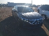 1VWSA7A31MC****** Salvamento y Destrozados 2021 Volkswagen Passat en Phoenix