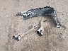 3FA6P0VP6HR****** Wrecked 2017 Ford Fusion in Arizona State