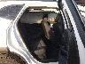 KL77LHEP3SC****** Wrecked 2025 Chevrolet Trax in Phoenix