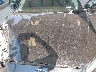 3FA6P0H79DR****** Reparables 2013 Ford Fusion en Seattle