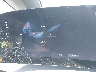 7UUG1TJK5TA****** Salvamento 2026 Lucid Gravity en Santa Clarita