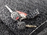 JF1GPAL64E8****** Salvamento 2014 Subaru Impreza en Estado de Alaska